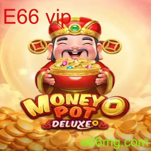 MoneyPotDELUXE